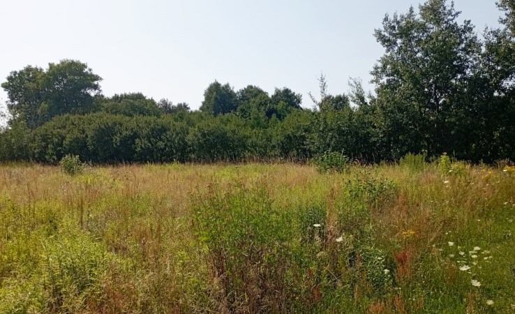 działka na sprzedaż - Warszawa, Ursynów, Jeziorki