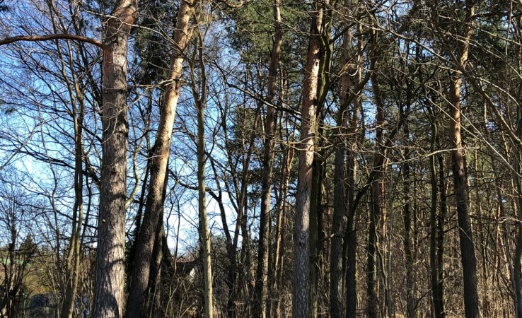 działka na sprzedaż - Leszno