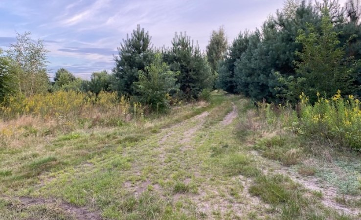 działka na sprzedaż - Tarczyn (gw), Prace Duże