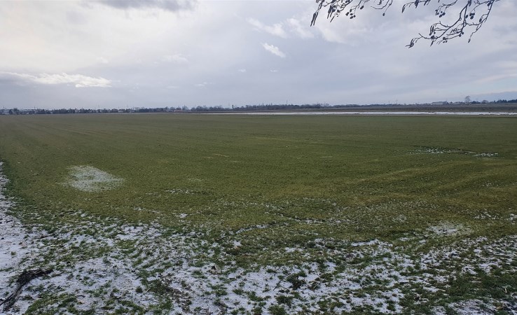 działka na sprzedaż - Stare Babice