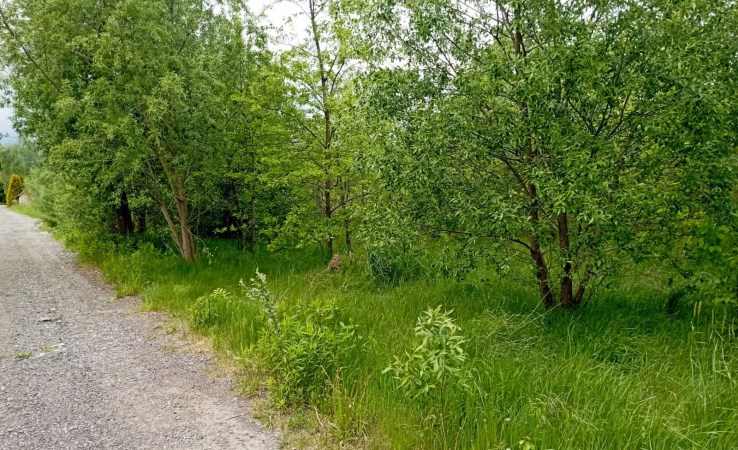 działka na sprzedaż - Piaseczno