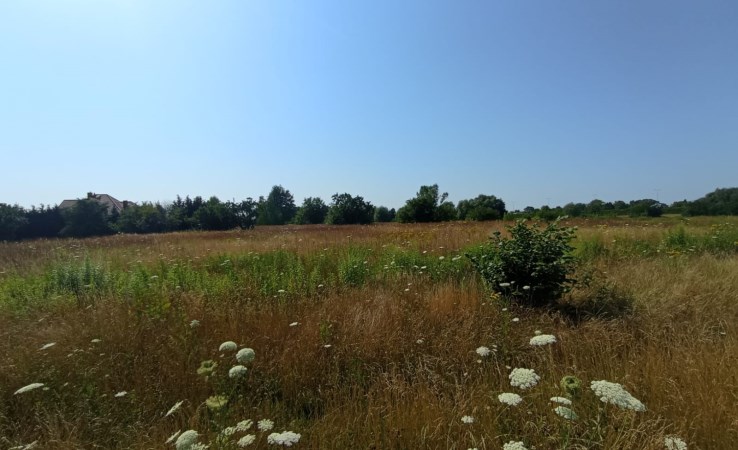 działka na sprzedaż - Warszawa, Ursynów, Jeziorki