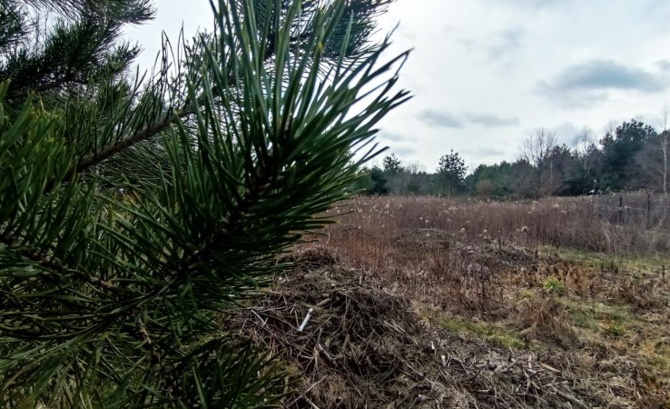 działka na sprzedaż - Prażmów, Nowy Prażmów