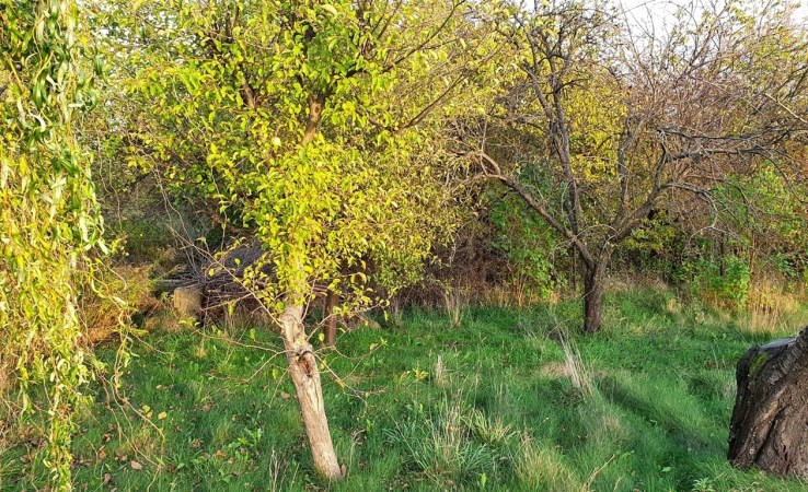 działka na sprzedaż - Warszawa, Bielany