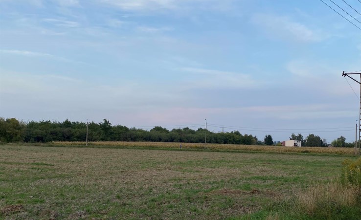 działka na sprzedaż - Ożarów Mazowiecki (gw)