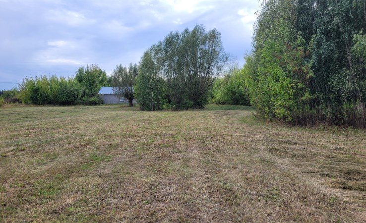 działka na sprzedaż - Młodzieszyn