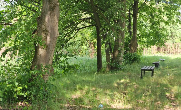 działka na sprzedaż - Góra Kalwaria (gw), Baniocha