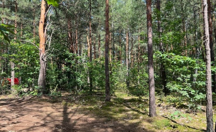 działka na sprzedaż - Warszawa, Wawer, Radość