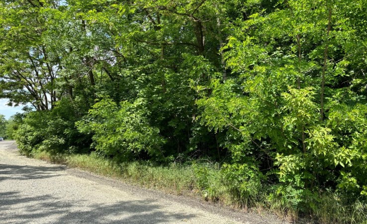 działka na sprzedaż - Wiązowna, Dziechciniec