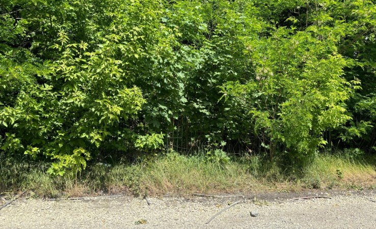 działka na sprzedaż - Wiązowna