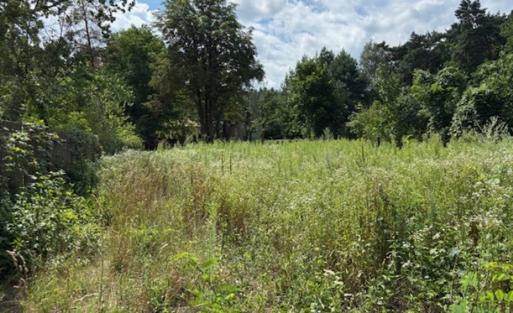 działka na sprzedaż - Izabelin, Izabelin C