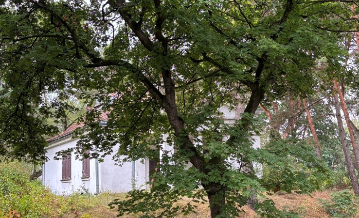 dom na sprzedaż - Konstancin-Jeziorna