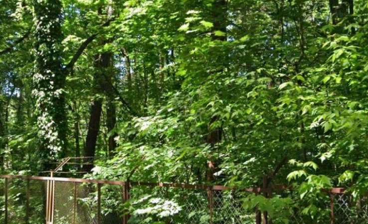 działka na sprzedaż - Konstancin-Jeziorna