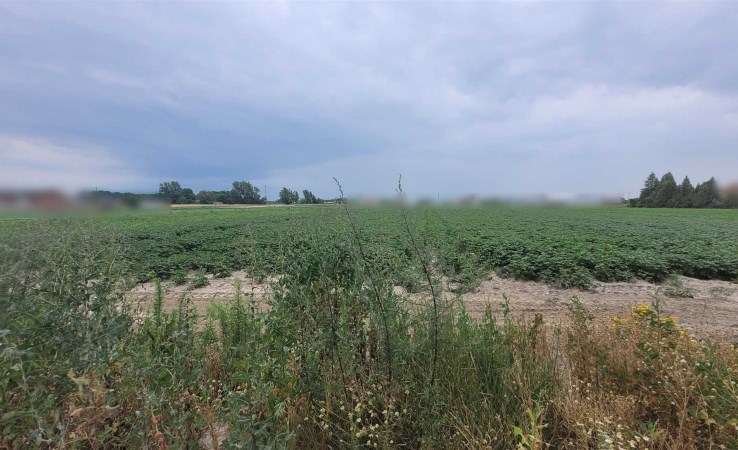 działka na sprzedaż - Ożarów Mazowiecki (gw)