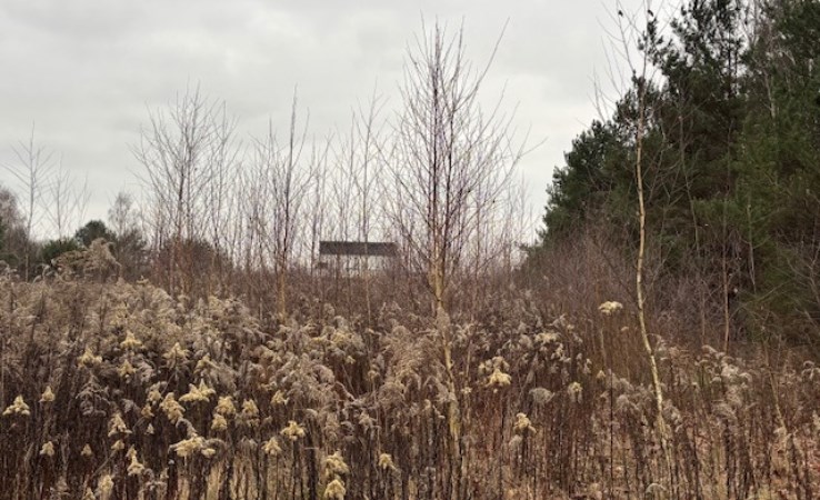 działka na sprzedaż - Tarczyn (gw), Prace Duże