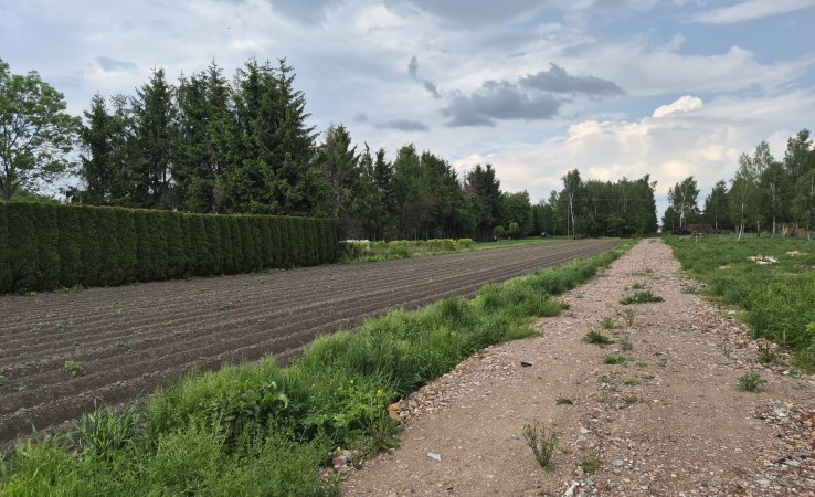działka na sprzedaż - Kampinos, Wiejca