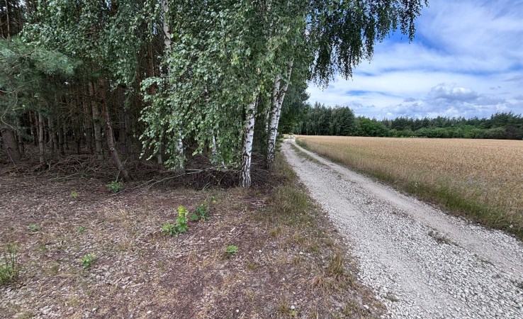 działka na sprzedaż - Kampinos, Wiejca