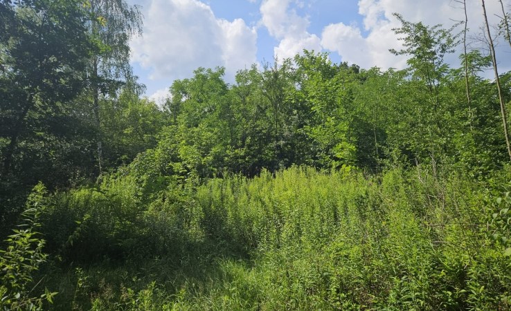 działka na sprzedaż - Warszawa, Wawer